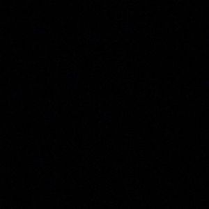 Meet your Posher, Wayne